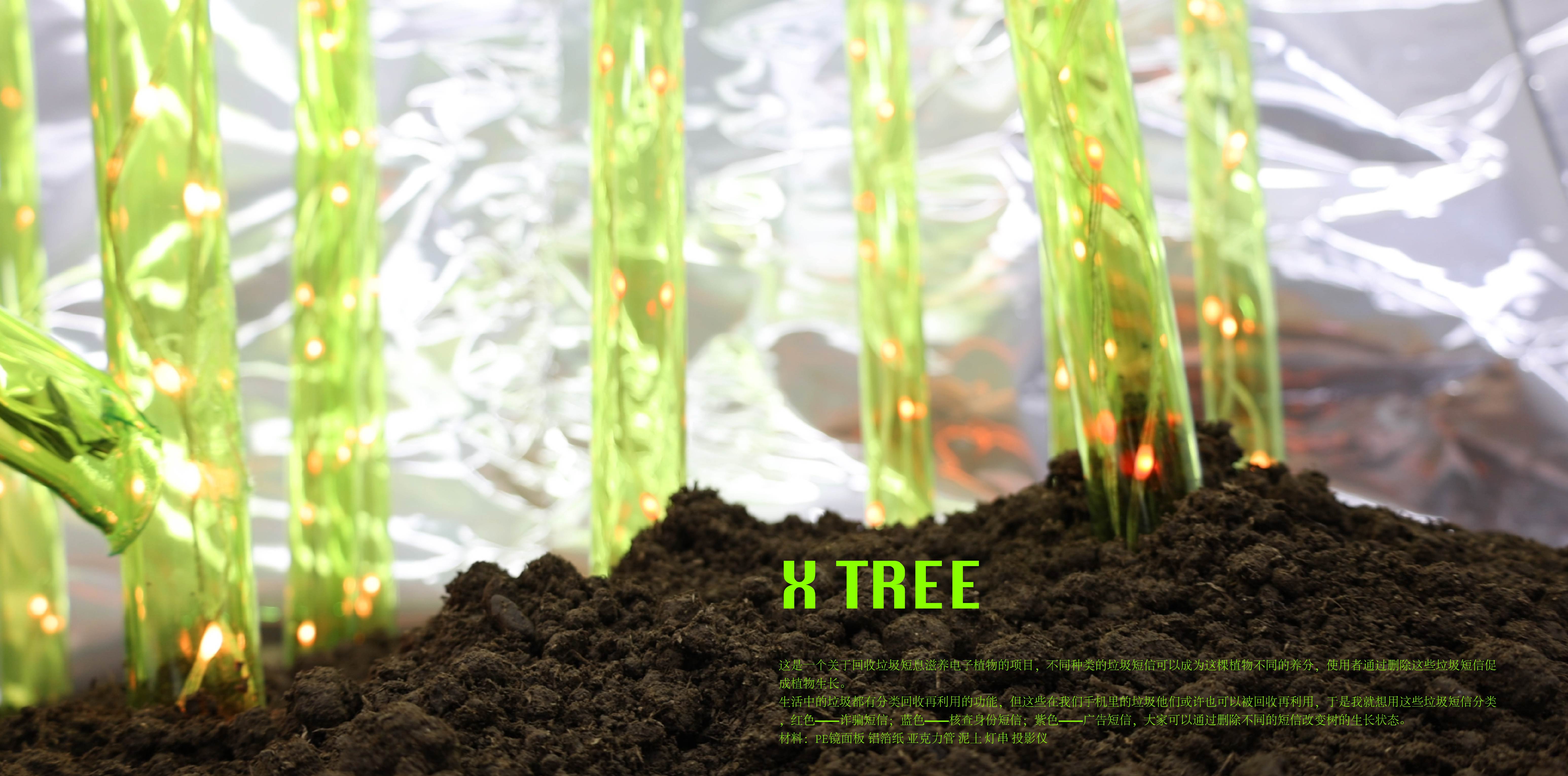 X tree · 冯哲希