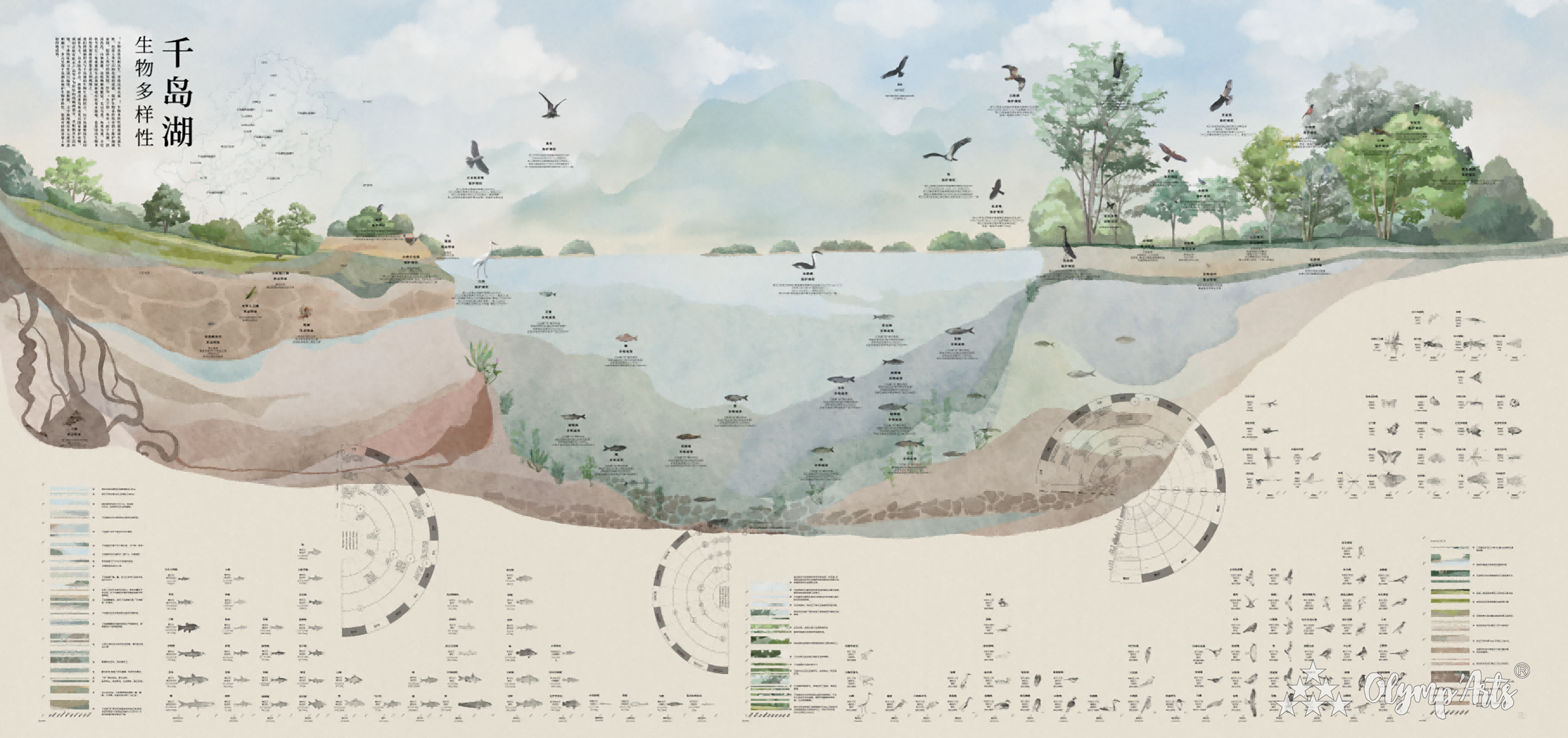 千岛湖·生物多样性 · 谢嘉懿