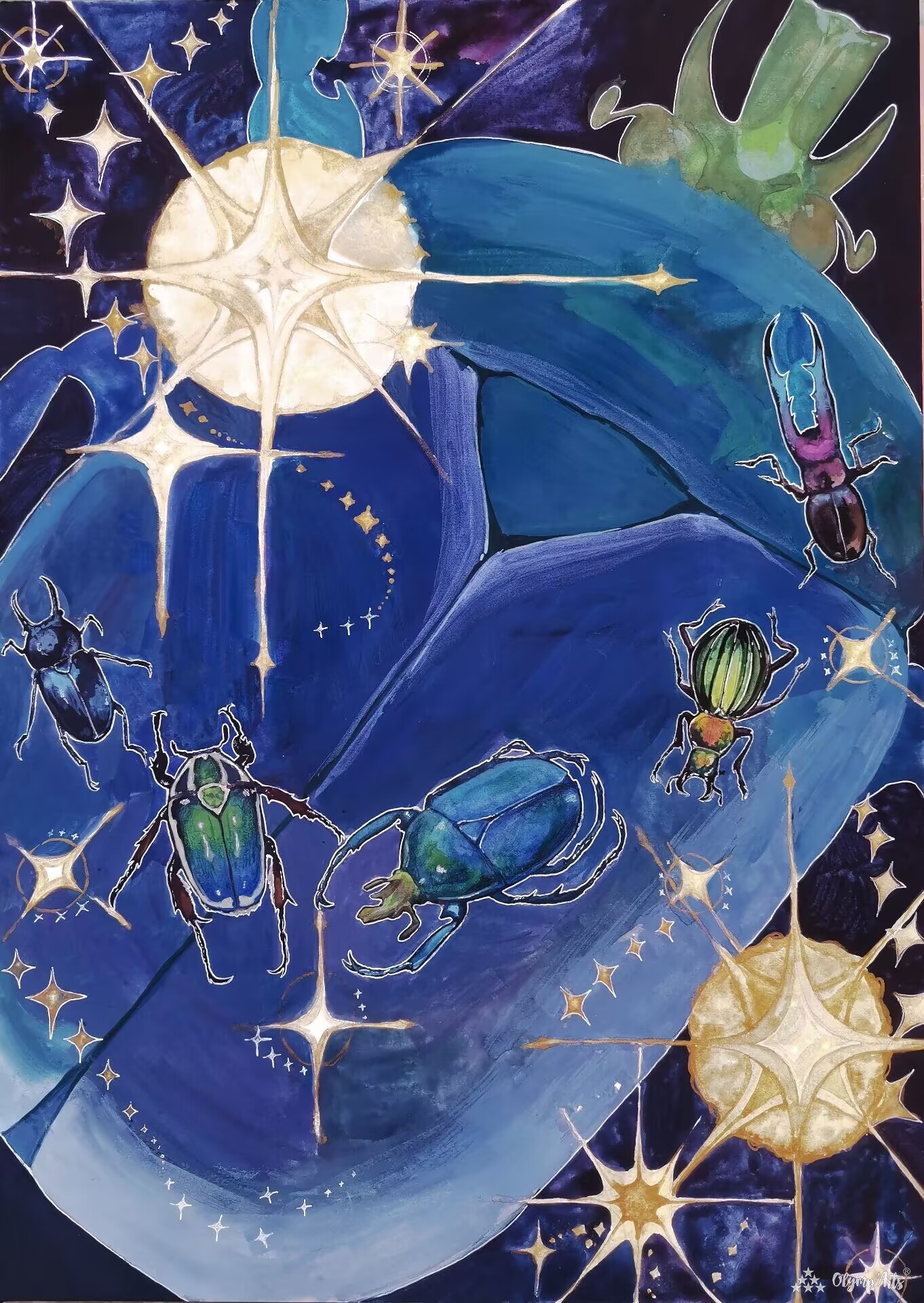 《星星与甲虫》 · 赵星怡