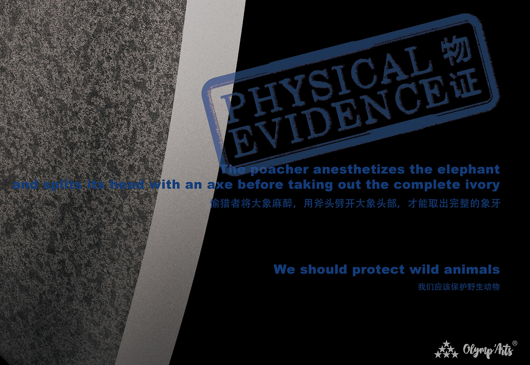 物证 Physical Evidence · 麓野