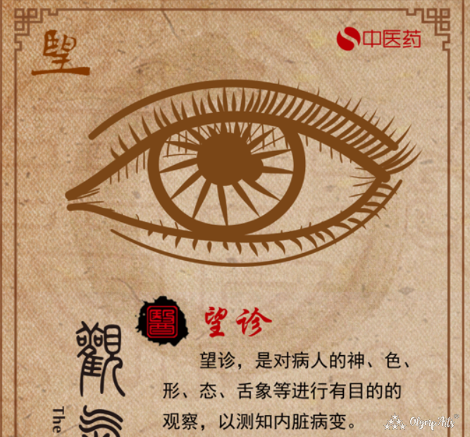 《中医问诊：望闻问切》 · 巧克力奶昔