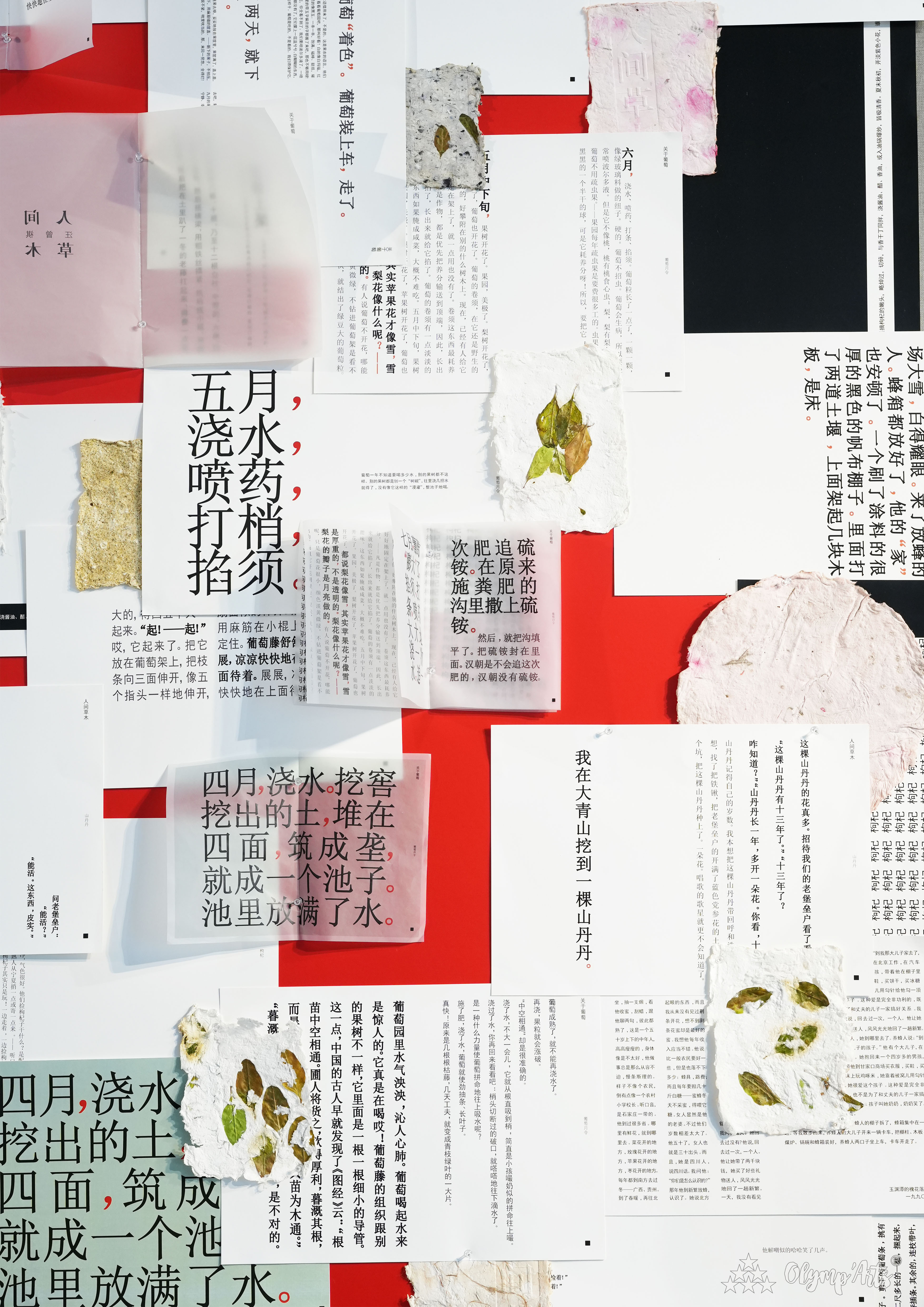 人间草木 · 柴腾豪