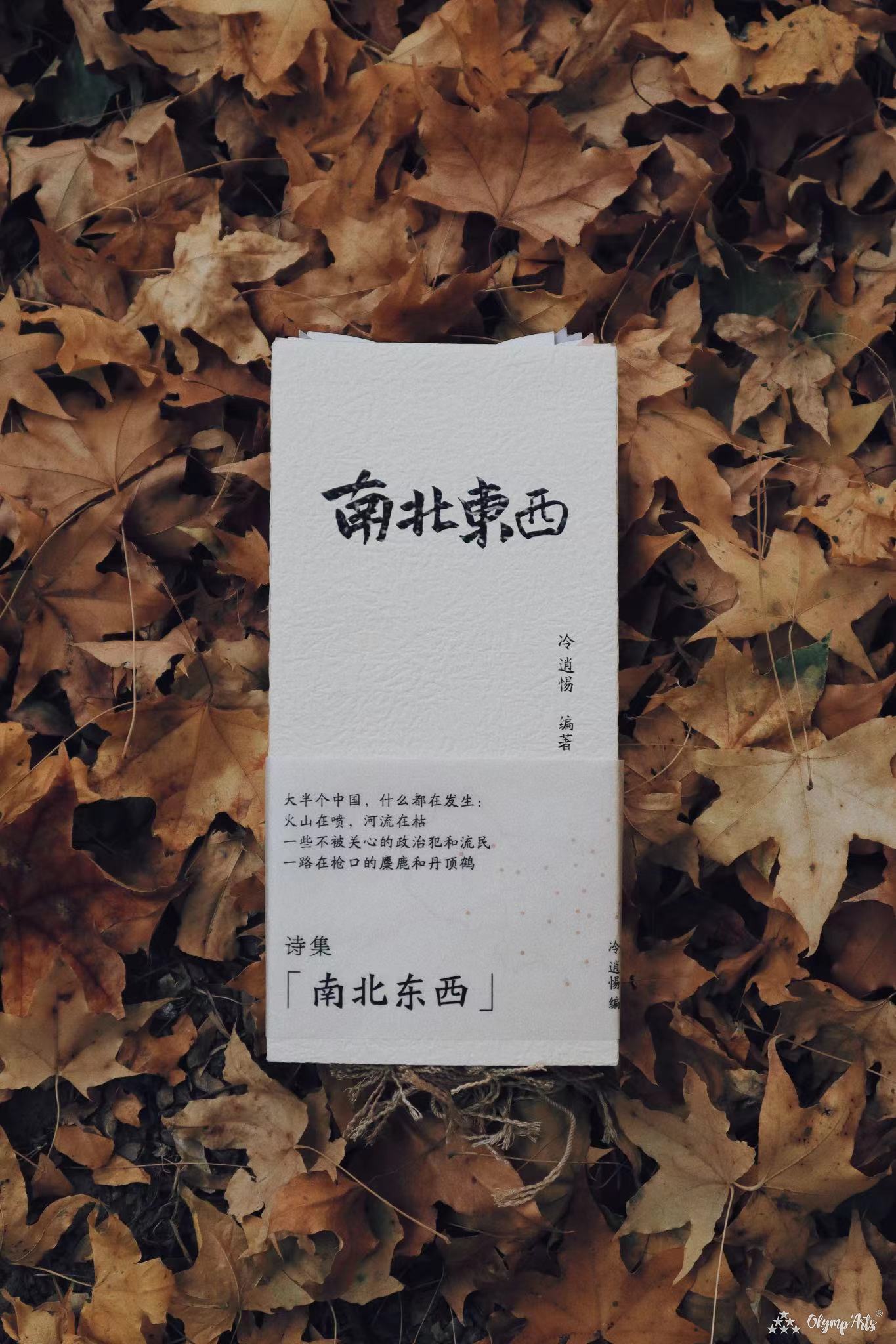 诗集《南北东西》 · 冷逍惕