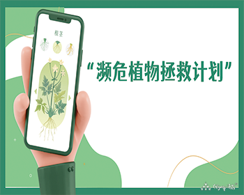 濒危植物拯救计划 · 谢颖·