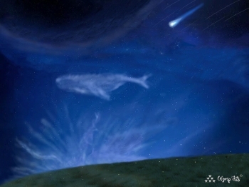 夜之星空 · 彭云