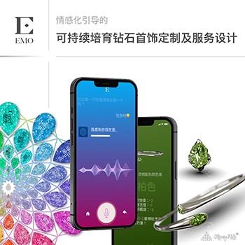 EMO情感化引导的可持续培育钻石首饰定制及服务设计 · 孙捷