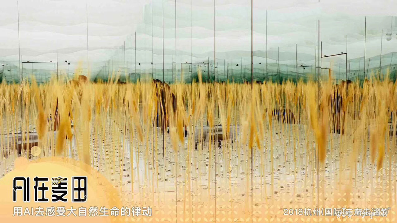 AI在麦田 IO NATURE: AI WHEAT FIEL · 苏珮琪