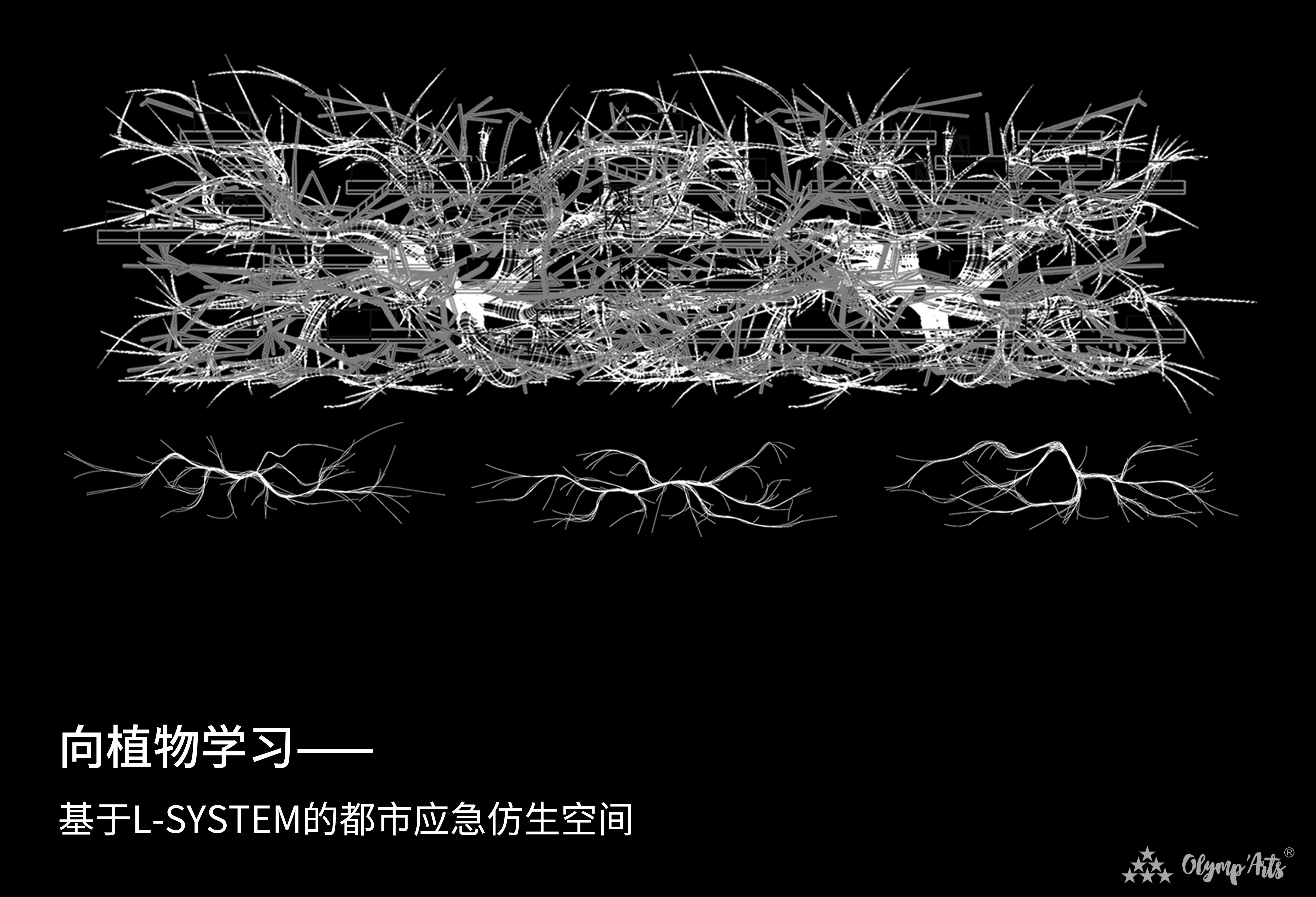向植物学习——基于L- System的都市应急空间 · 迟萌
