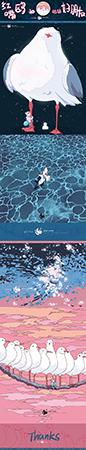 红嘴鸥和它的好朋友 · 金晶